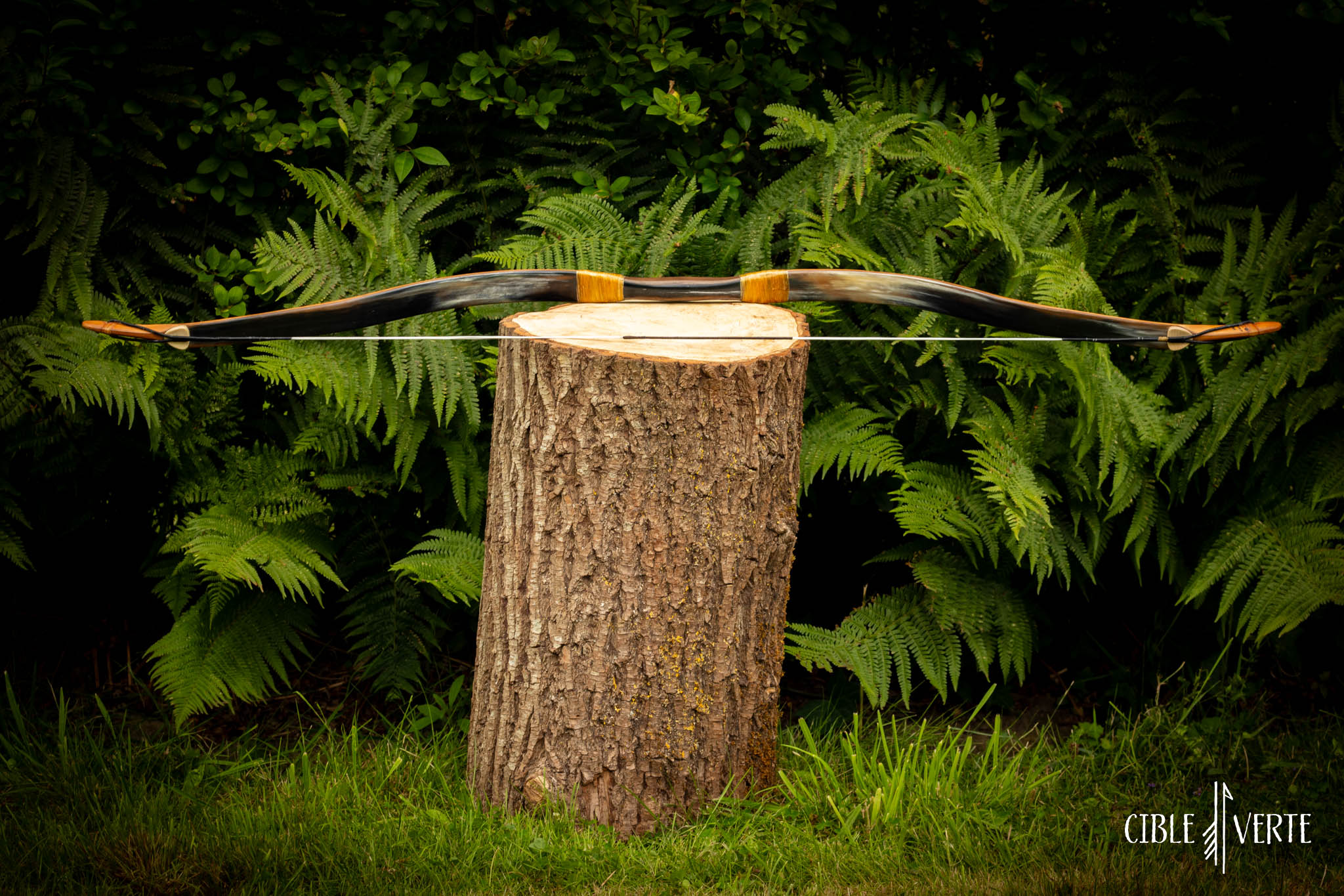 Grozer Biocomposite Early Mongolian bow